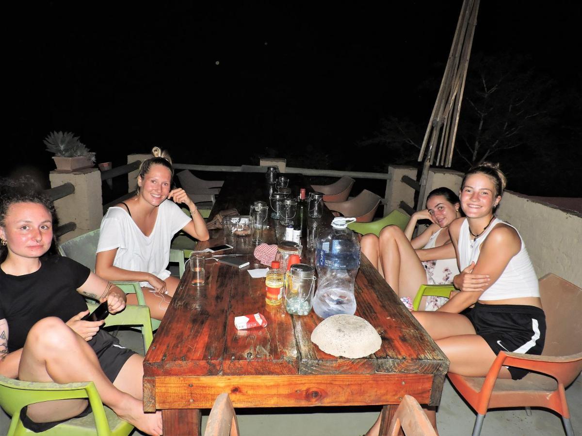 Kruger Backpackers *